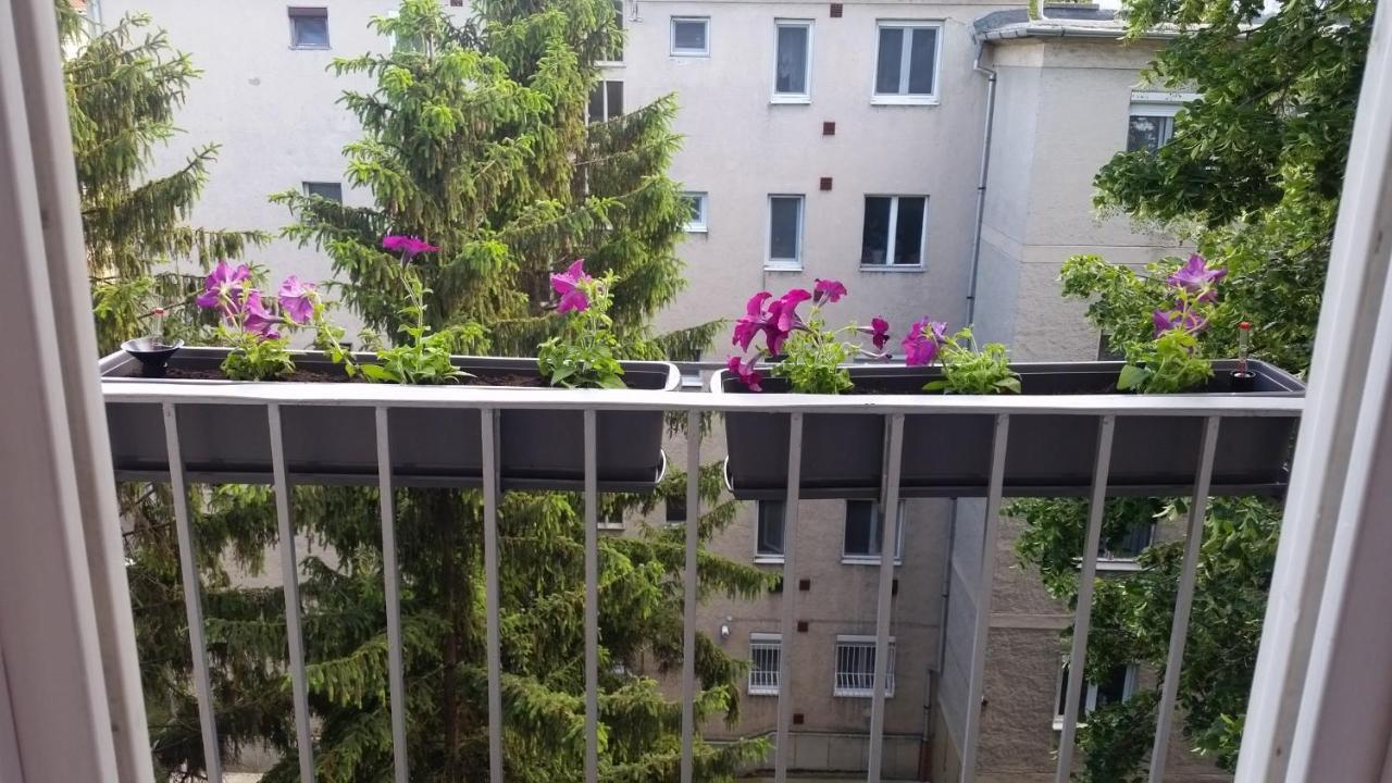 Tisza-Parti Napfeny Apartman 塞格德 外观 照片